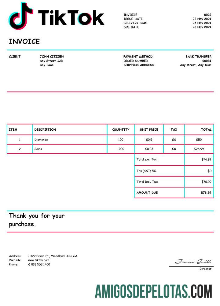 Fatura Tik Tok dos EUA exemplo real